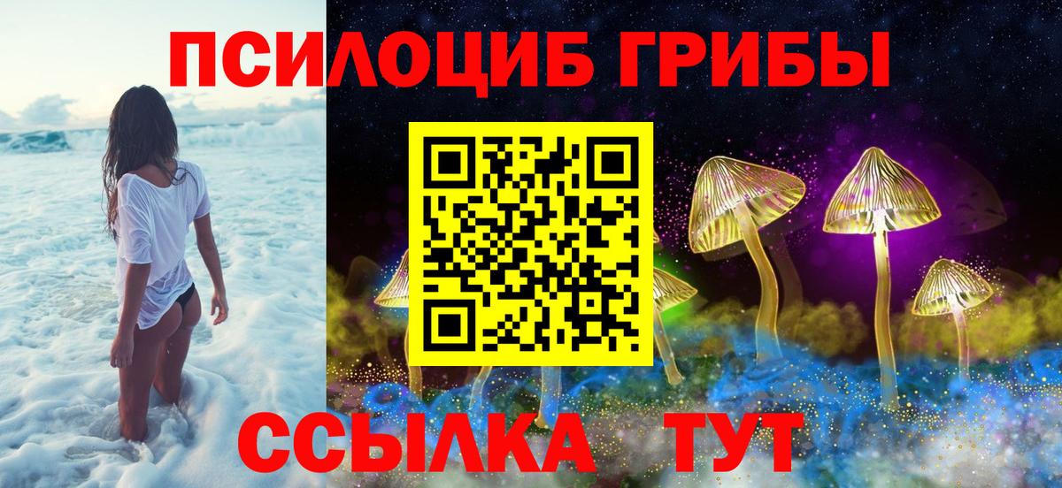 где продают наркотики  Вход с VPN  Качканар  Галлюциногенные грибы Cubensis 